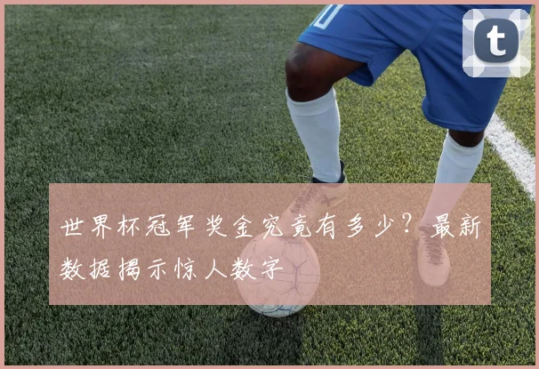 世界杯冠军奖金究竟有多少?最新数据揭示惊人数字