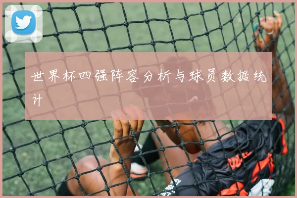 世界杯四强阵容分析与球员数据统计