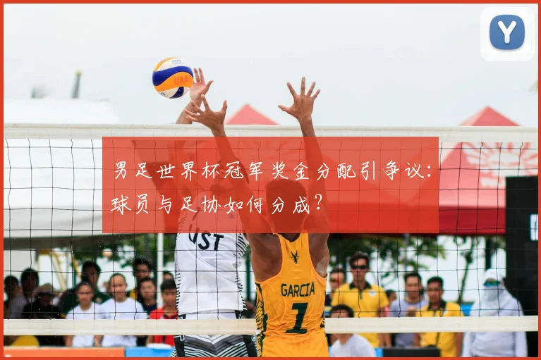 男足世界杯冠军奖金分配引争议:球员与足协如何分成?