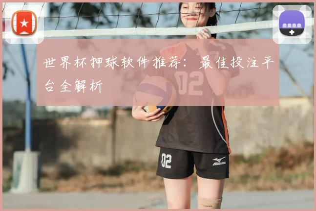 世界杯押球软件推荐：最佳投注平台全解析