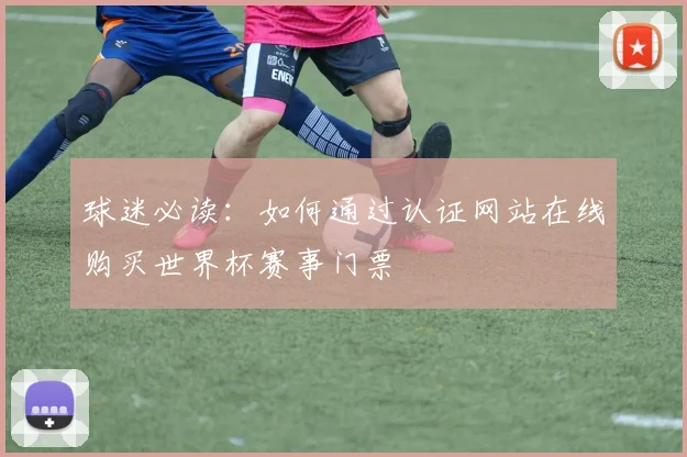 球迷必读：如何通过认证网站在线购买世界杯赛事门票